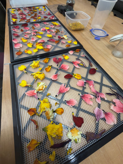 Hand Dyed Habotai Silk